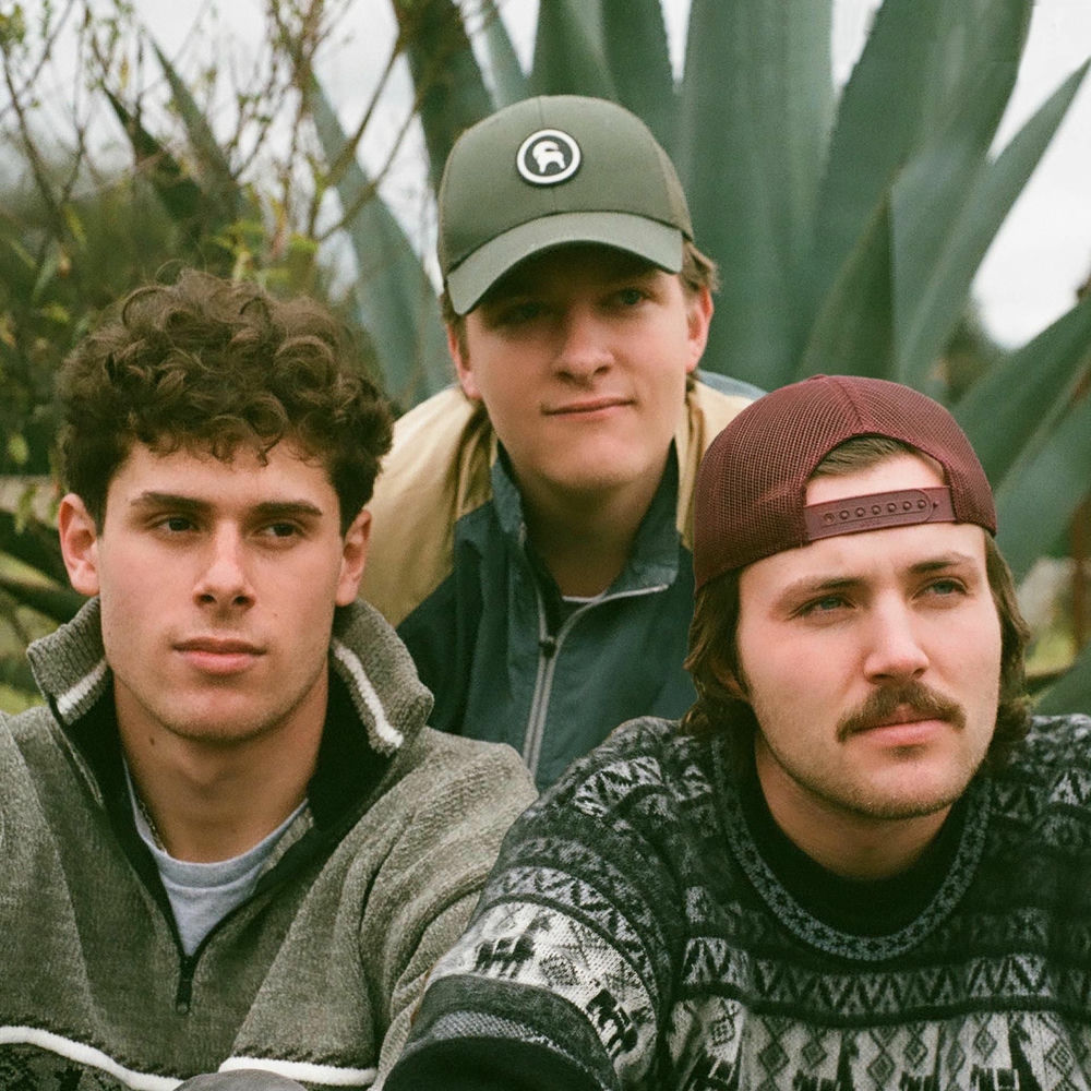 Richy Mitch & The Coal Miners